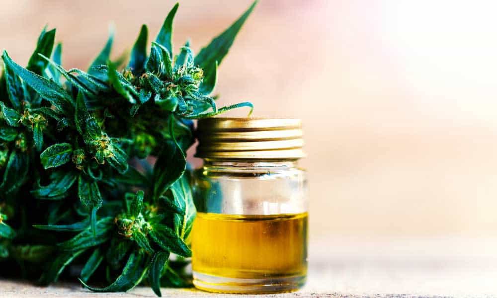 thrtechnologies's tweet photo. FDA Sends Out Warnings To CBD Companies https://t.co/zT1K5Bp6rq #CBD #Health #THRTech https://t.co/SuK9hE1cVC