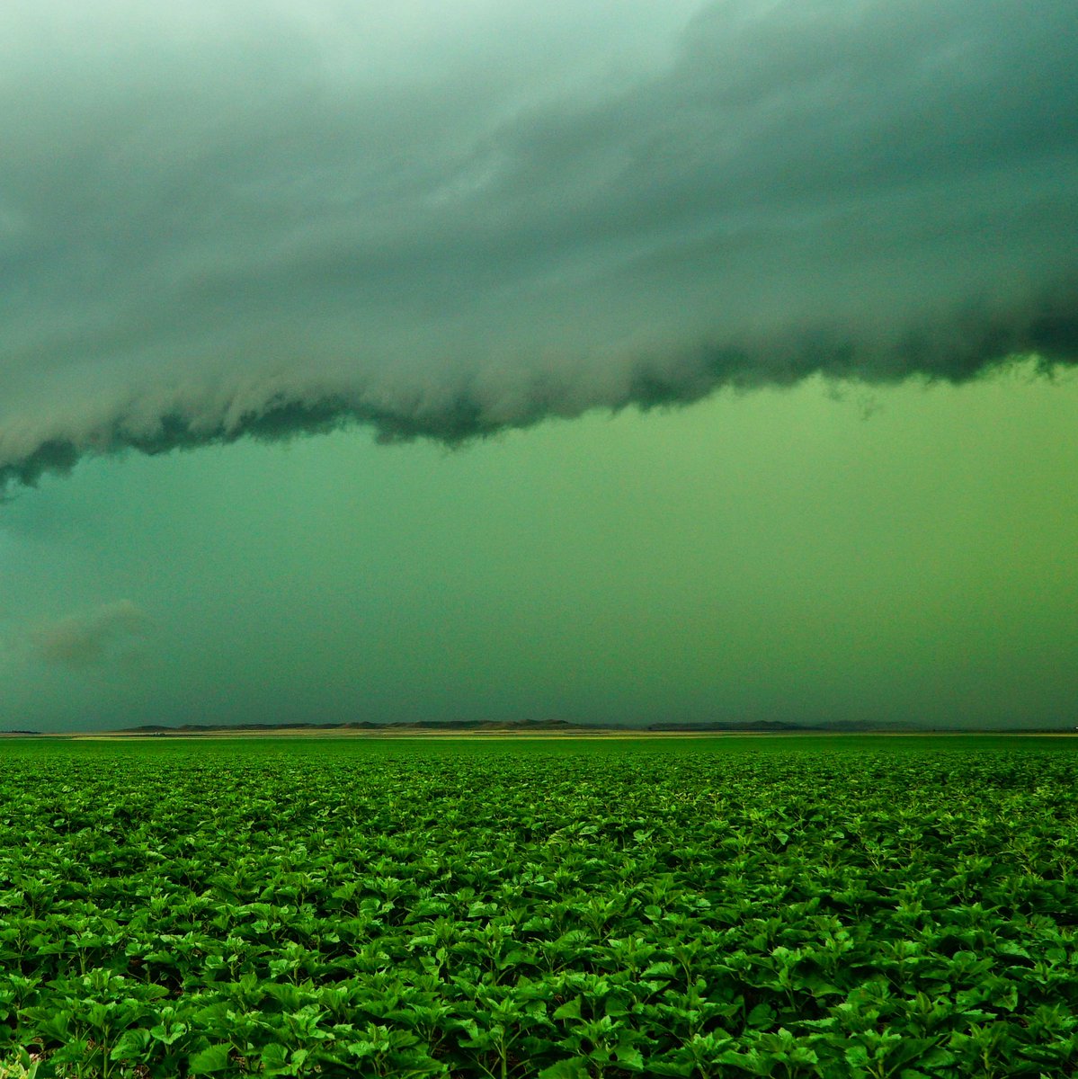 All 28+ Photos why is the sky green during a tornado Completed All 28+ Photos why is the sky green during a tornado Completed