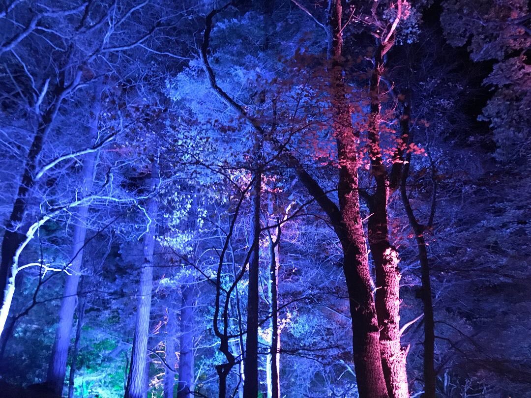 amympeters's tweet image. Lovely evening exploring @ColoursofCluny in #Forres! On till Sunday - well worth a visit (ran by the community too)! 🌈🌲