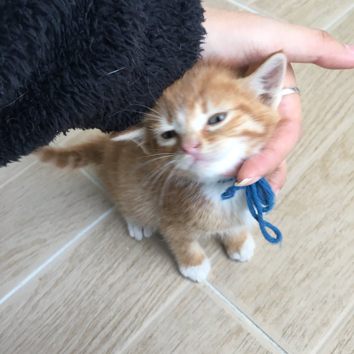 나와 만나기 전 (애칭 블루일때) 묘쥬님이 찍어주신 사진들