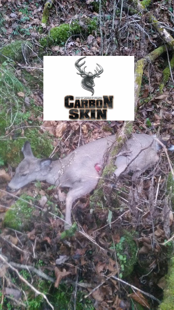 ColdBow's tweet image. Not real big but in the freezer she goes