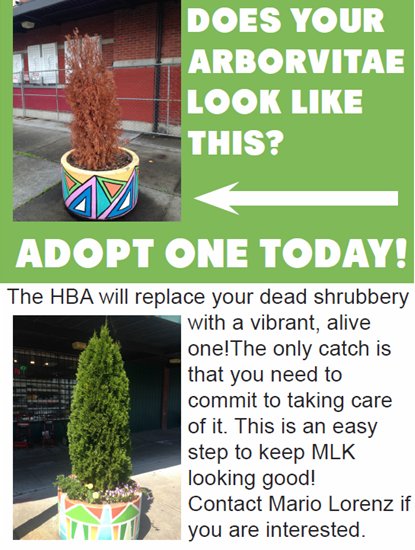 Thank you to the <a href="/HilltopBusiness/">HilltopBusinessAssoc</a> for making Hilltop more walkable by taking care of the lovely landscaping! #walk253