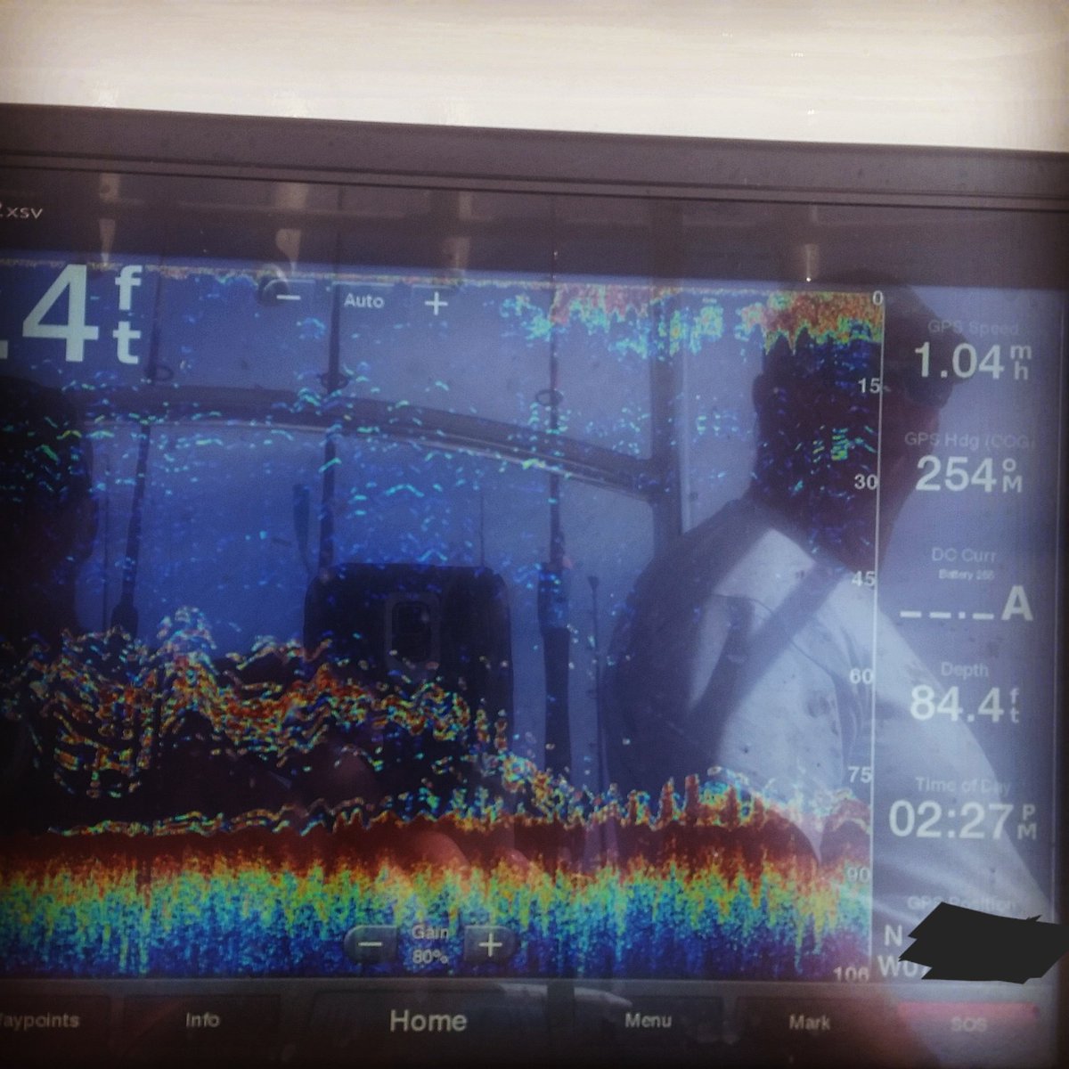 BayPirateFishin's tweet photo. Little view from the @Garmin for this #humpday we found the beeliners on this drop. #beeliners #bottomfishing #jigging #meatfish #bloodydecks #fillthebox #garminmarine #davesoutpost #thginsurance #jimmysmarine #bazencustomrods #offshore #funday https://t.co/axrqrw62oZ
