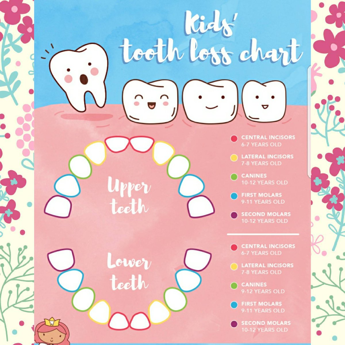 weisteeth's tweet photo. In case you are a little unsure of when exactly your child is supposed to start losing teeth, here is a chart to show you. Give our office a call to schedule your appointment at any of our 3 locations! #callus #losingteeth https://t.co/ENHq8FZNhn