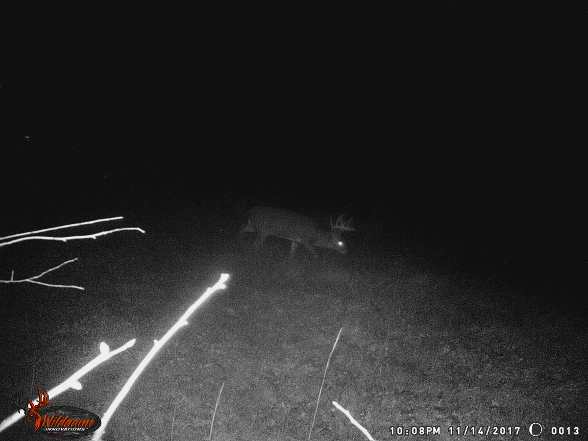 benakad_ray (@sitton_ben6) on Twitter photo 