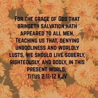 christiangaming's tweet photo. For the grace of God that bringeth salvation hath appeared to all men,  Teaching us that, denying ungodliness and worldly lusts, we should live soberly, righteously, and Godly, in this present world. https://t.co/bowY6cG24O