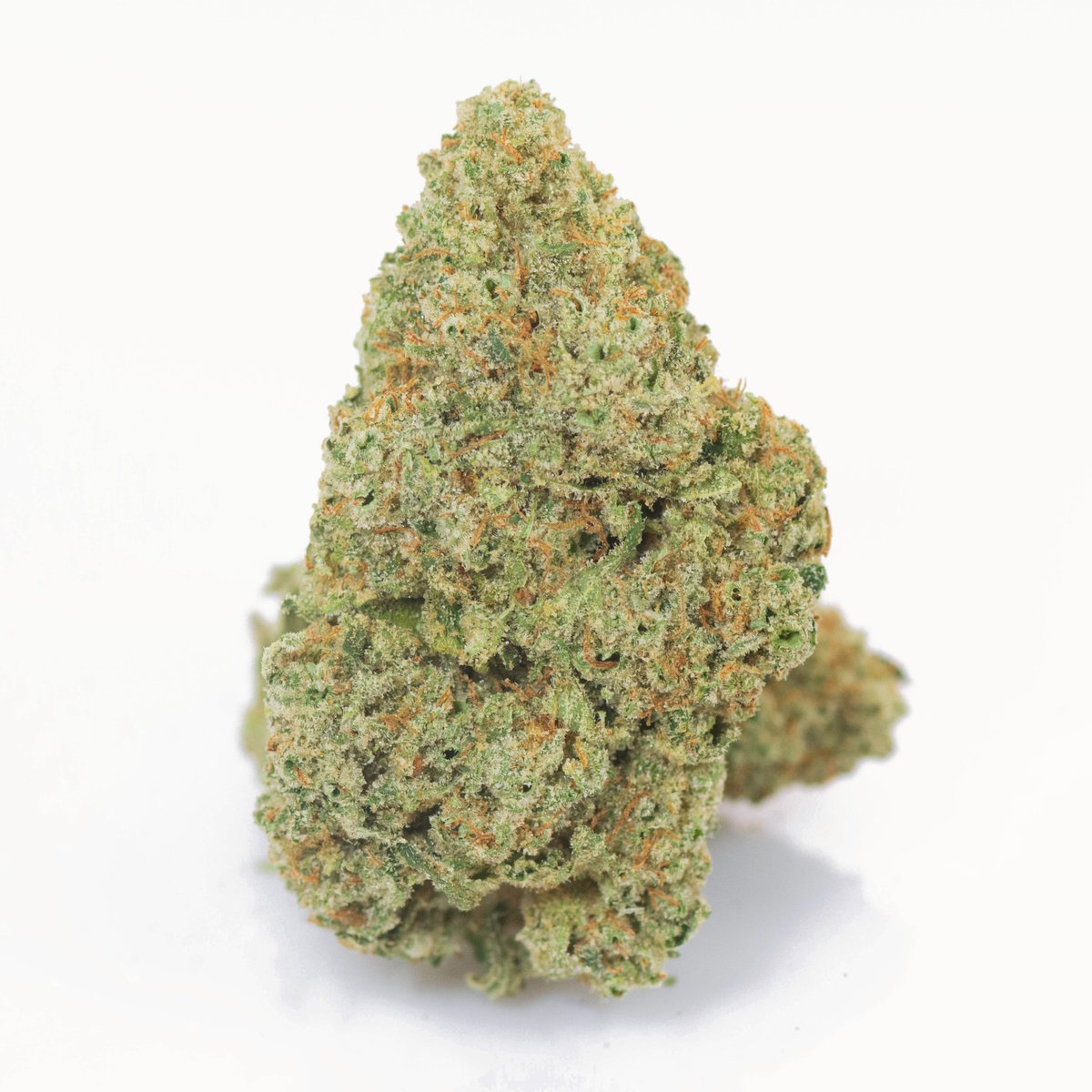 Elemental2009's tweet photo. Perennially high-testing #LuckyLemon7 (29.47% #THC) returns to the top shelf, offering dense, chunky nugs, a uniquely citrusy aroma, and uplifting effects @ $60/4-gram 8th! While supplies last. https://t.co/iVXniFYDg6