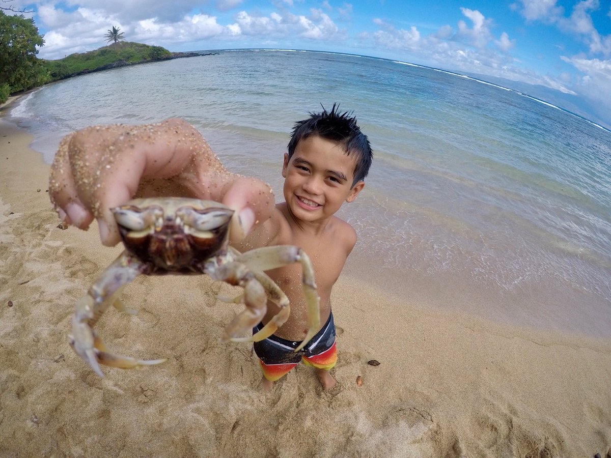 HonuaKai's tweet photo. Getting rid of the crabbiness with some sand, sun, and vitamin sea. 
📸 by@dmoreno
#Gopro #goprotraveler #Goprofun https://t.co/1I8yobiSHS
