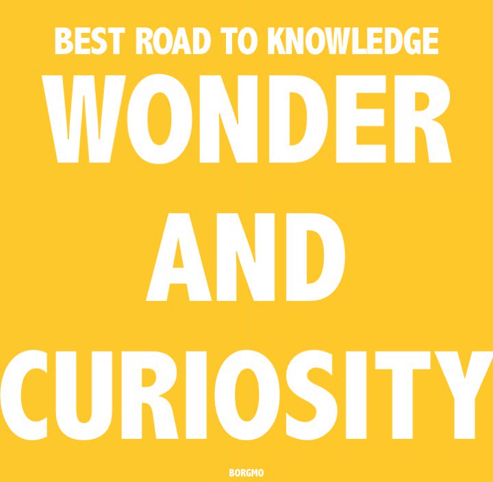Borgmo's tweet photo. Best road to knowledge: Wonder and curiosity #borgmo #borgmos #teaching #learning #LearningWithoutLimits #learnaboutme #LearnAndShare #learnbps #LearnLead #LEARNMEM2018 #LearnToEarn #LearnToLetGo #learntocode #learnwithIM #TeachSDGs #teachabroad #teacher #teacherlife #quote https://t.co/KqCClSob0m