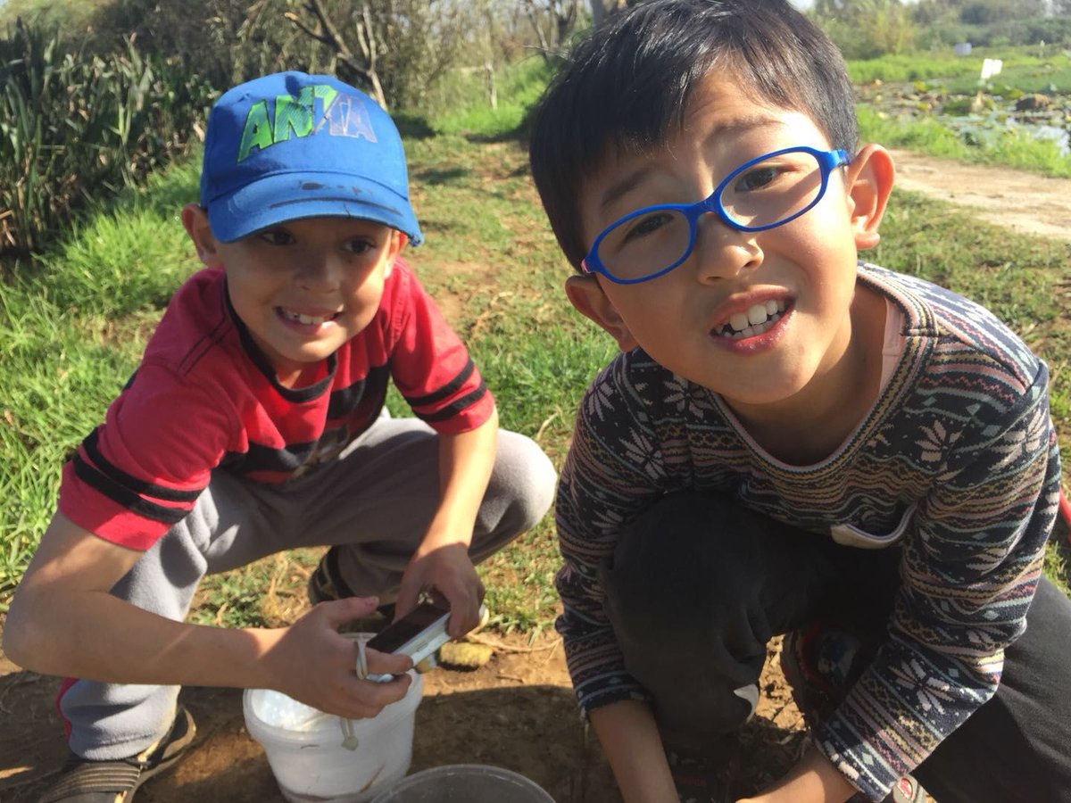 KIAkunming's tweet photo. The 3rd grade class recently  went to the wetlands on a field trip! It was a great learning experience! #networknovember #nicsschools #kunminginternationalacademy #nicscommunity #nicsgrateful https://t.co/qTh6TB8pNu
