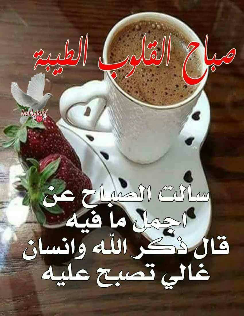 اللهم إنا نسألك صباحاً طيباً يحمل الرزق والفرج ، وأن تفتح لنا ولجميع المسلمين أبواب رحمتك ورزقك وعافيتك يارب العالمين  .
         *صباح الخير*