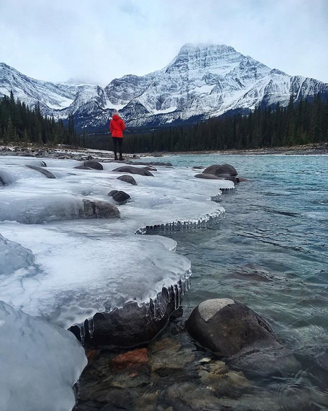Tourism Jasper tweet media
