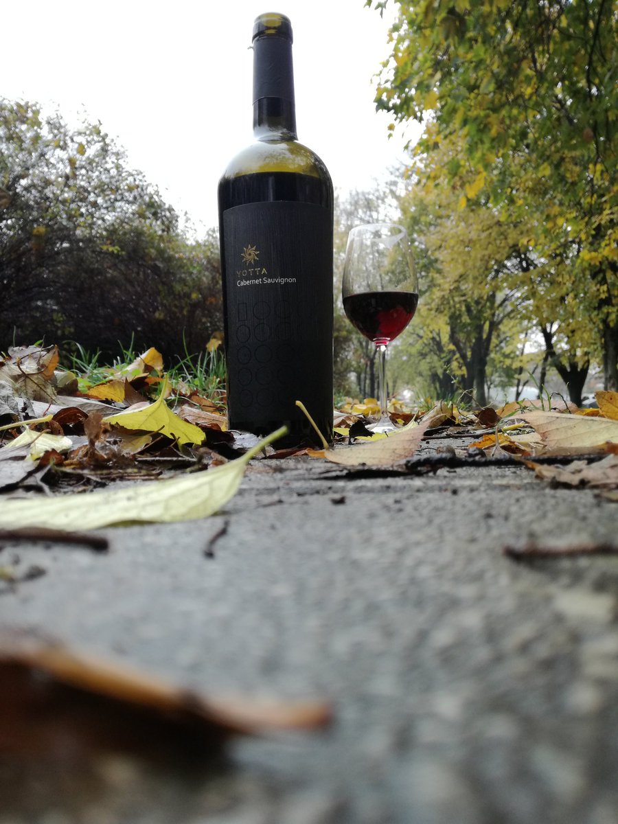 VINOIGRAD's tweet photo. #VinarijaYotta i njen odličan #cabernetsauvignon koji je odležao u srpskom hrastovom bariku. Idealno vino da vas zagreje u ovim hladnim danima uz specijalitete od mesa i paletu sireva. Živeli!!! #vinoigrad #winelovers #winelover #vino https://t.co/2kjt53YvbG