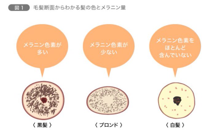 メラニンのtwitterイラスト検索結果 メラニンのtwitterイラスト検索結果