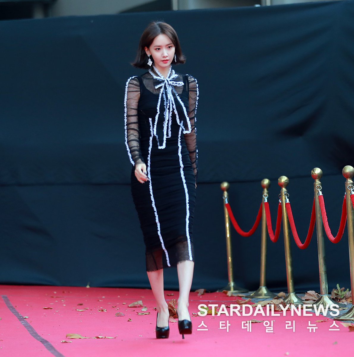 COMPILATION] 171115 YoonA - 2017 Asia Artist Awards 199P by Press