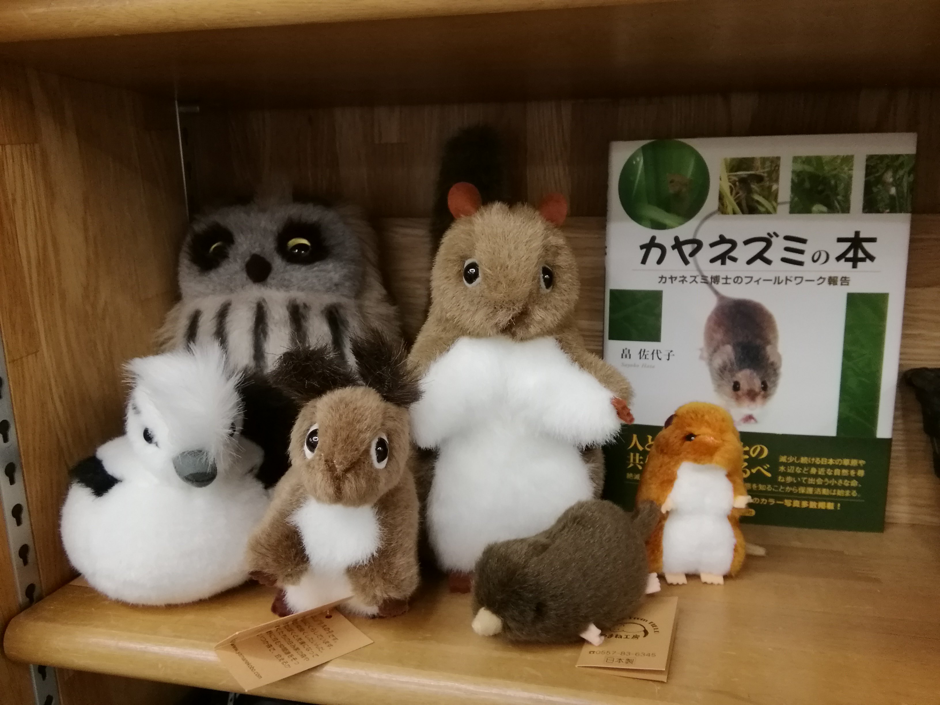 ジュンク堂書店池袋本店 理工書担当 on X: 
