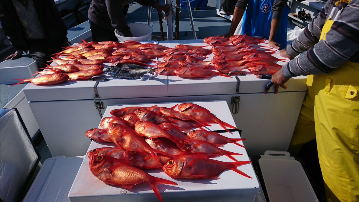 ゆきなお🇯🇵【雪直】 tweet media