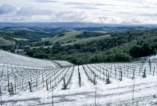 Snow is the vineyards https://t.co/ELkxfKB3Jk