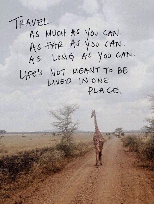 RetroJov's tweet image. #Goals

#NomadnessTribe @nomadnesstribe #Innclusive @Innclusive