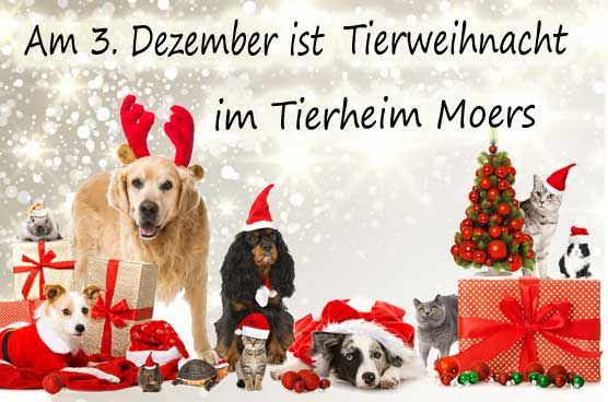 Magic_and_Arts's tweet photo. 3. 12.2017: Tierweihnacht mit Kaffee, Kuchen, einem kleinen Basar u. A. mit Magic and Arts Stand und einer kurzen Andacht mit Segnung der Besucher- und Tierheimtiere am Peschkenhof 34, 47441 Moers. https://t.co/4T9k2Zygka