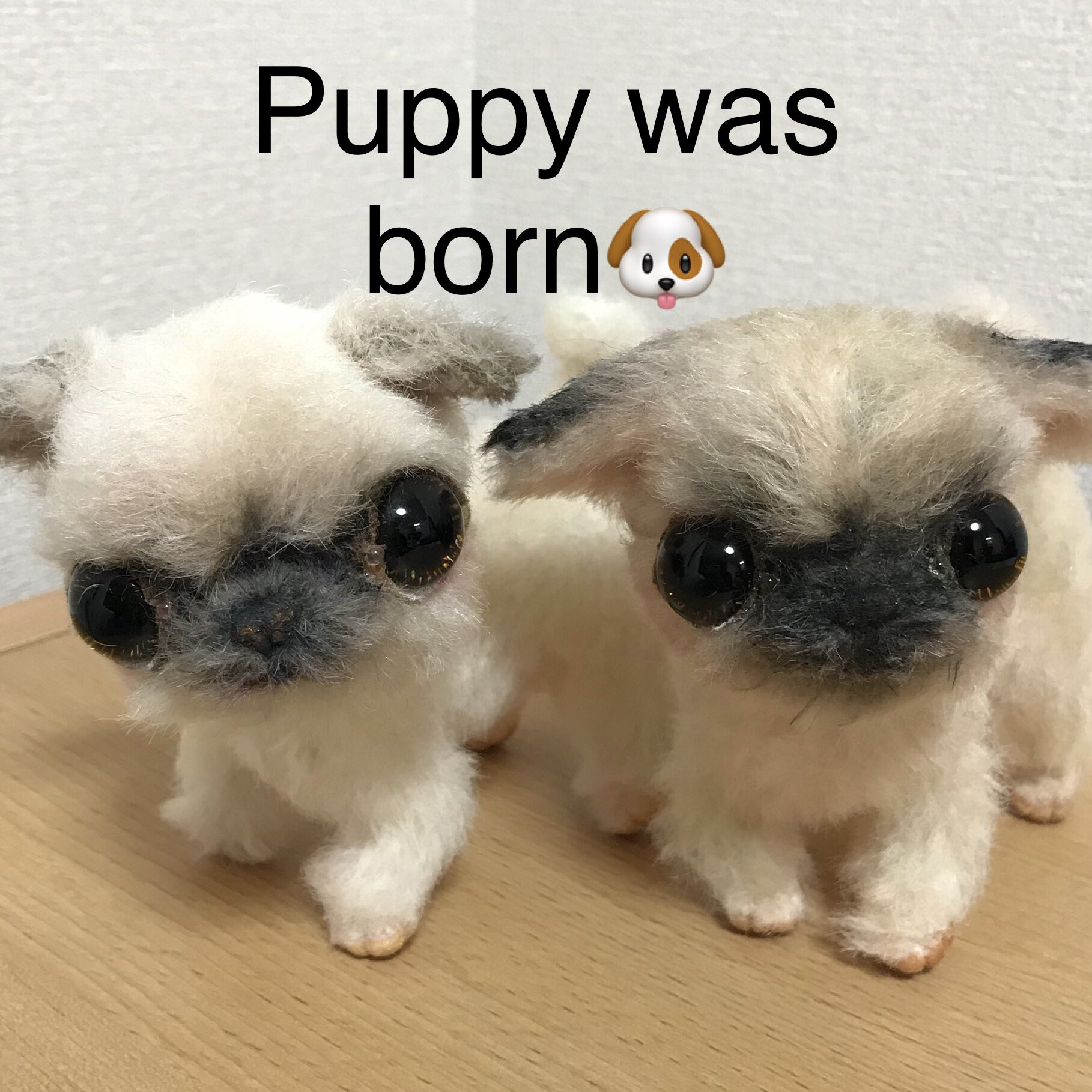 ゴトウユミコ パグちゃん 生まれました 新入りちゃんは里親さん募集中です 先輩ちゃんをお渡し前に パグ Puppy Pagu かわいいこいぬ ネイアニ ネイチャーアニマルワンダーランド Brmyumiko T Co Cee47rmjbq Twitter