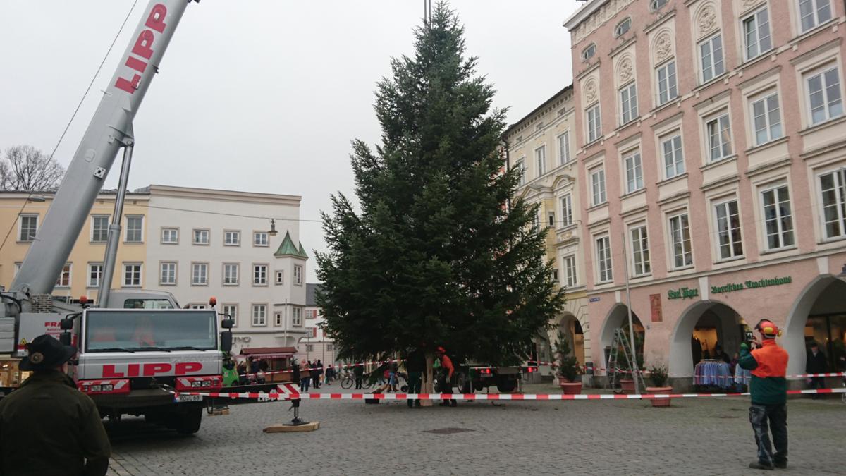 rosenheim24's tweet photo. Hier kommt der #Christbaum auf den Max-Josephs-Platz in #Rosenheim via @JennyJacoon 
 https://t.co/jQ6FSR4pE0 https://t.co/vAWIcvbSVu