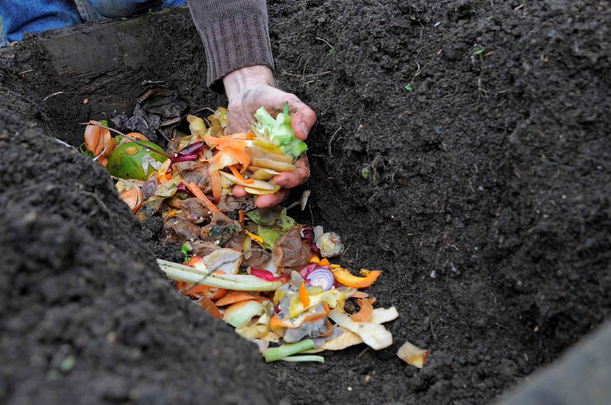GWmag's tweet image. Use up organic kitchen waste and give vegetables crops a boost by creating a composting trench. Here&apos;s how:  gardenersworld.com/how-to/maintai…