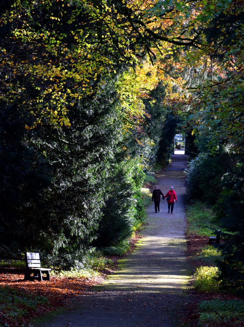 mousey3211's tweet photo. Autumn walk at @ripleycastle #Harrogate @BoarsHeadRipley @RipleyWeddings @justmakerRipley @Enjoy_Harrogate @harrogate_stuff @ukHarrogate @THarrogateGirl @HarrogateUK https://t.co/RYVJvW9QbQ