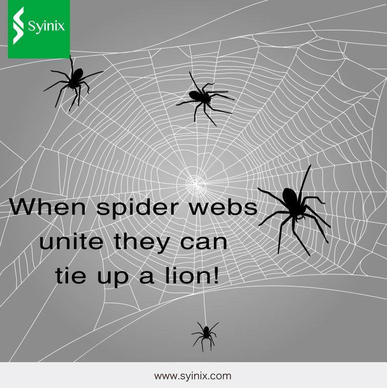 Syinix_Kenya's tweet photo. #Syinixmotivation United we stand divided ......  When spider webs unite they can tie up a lion! Ethiopian proverb. #syinixkenya #forabetterlife https://t.co/2f43rllCAB