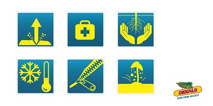 De la #VigueurAuDépart à la #RésistanceEgrenage, nous combinons le meilleur des solutions #Colza dans nos #Variétés. dekalb.ag/solutions-colza