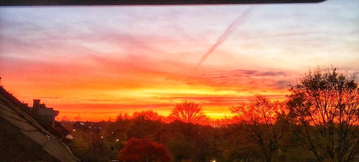 fridgerescue's tweet photo. A beautiful start to the last day of Medica. 

Last chance to visit booth 14D44! https://t.co/KIR3LdK3QK