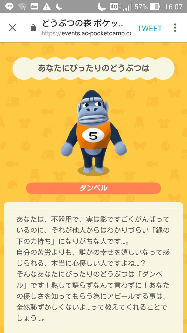 ほのかっち On Twitter ハッケミィの占いが出たので試しにやってみた結果 あなたにぴったりのどうぶつは ダンベル 工エエェェ D ェェエエ工 ポケ森 どうぶつの森