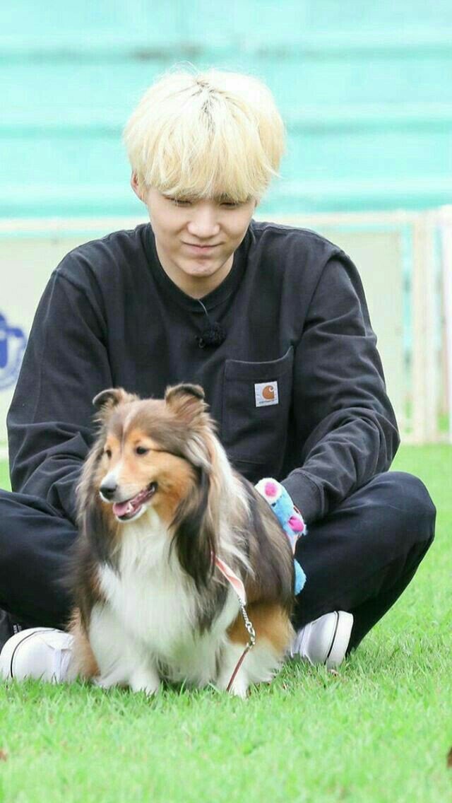방탄소년단 on AMAs! 🌎 on Twitter: "Suga with his dog in Run! BTS Episode 23