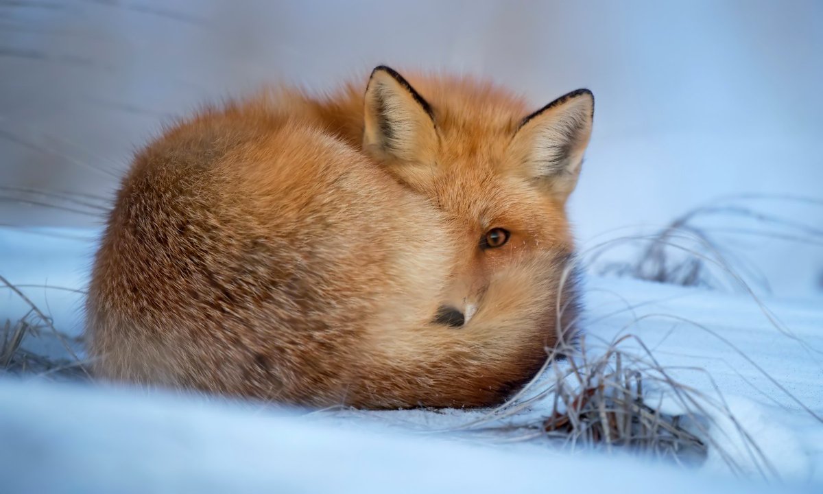 photo5065's tweet image. 