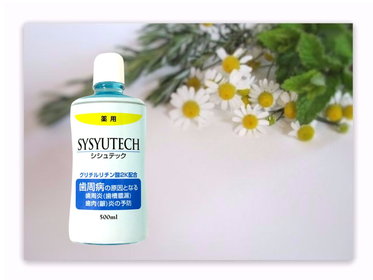 シシュテック公式アカウント Systech Officia Twitter