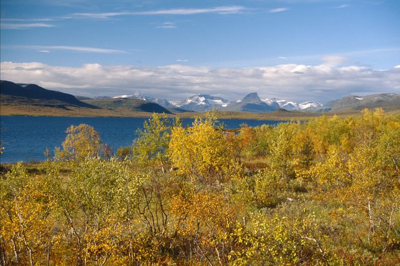 "The math shows that halting climate change is impossible without forests." #nature4climate #COP23 bit.ly/2mqbCRi