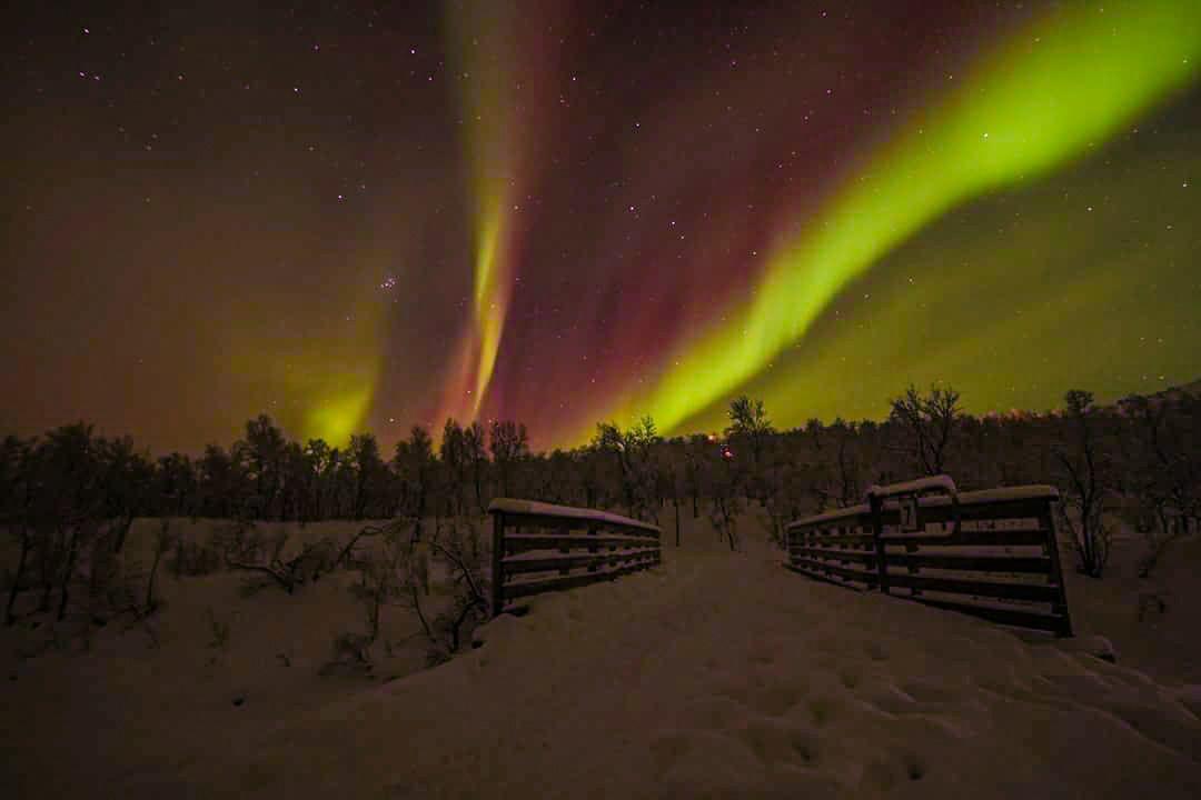 Meteorologene's tweet photo. Flott nordlys i natt, både i Nord-Norge og lenger sør. Svein Olsen har fanget nattens nordlys i #Sarves ved #Alta. Kanskje nye muligheter natt til fredag. https://t.co/CFFmQrpYpd