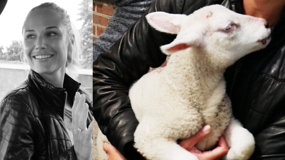 Onze <a href="/Kimberleyklaver/">Kimberley Klaver</a> is op bezoek bij Boer Tom én zijn lammetje voor 'Bekende Baasjes'. Nu op #LINDAtv - bit.ly/2mxtZUE