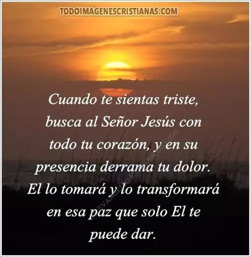 andrea_bujeiro's tweet photo. Buen día!! https://t.co/iFODDs18QG