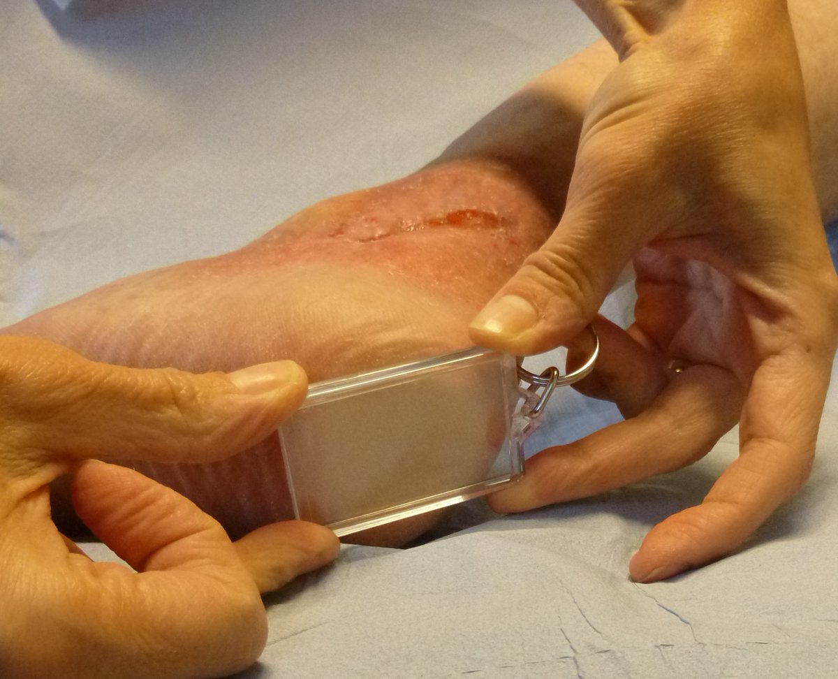 Michaela Arrowsmith tweet media