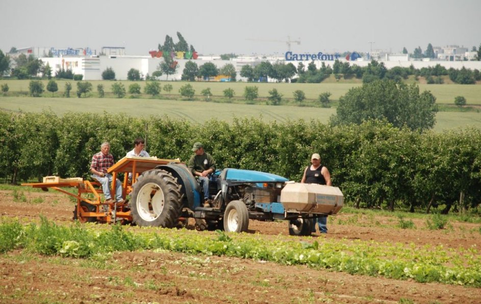 RevueCybergeo's tweet photo. Trois points de vue sur l'#agriculture périurbaine : à lire ou relire dans #Cybergeo https://t.co/uN6K4ExPZX via @hypothesesorg https://t.co/Qwdkv4jo03