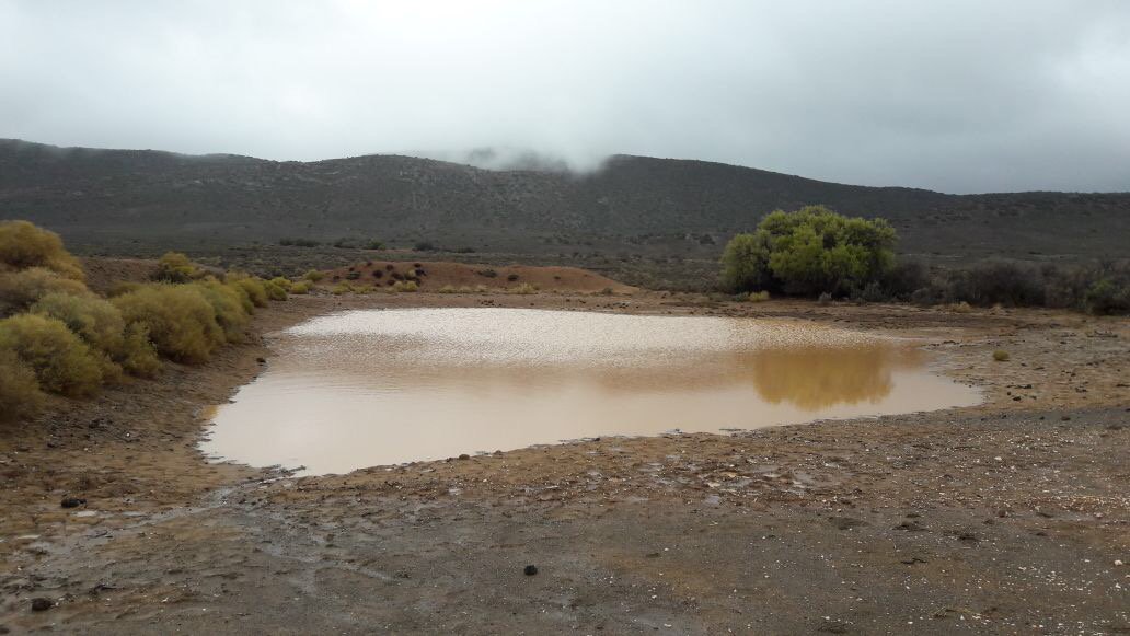 Kobus du Toit Bosman tweet media