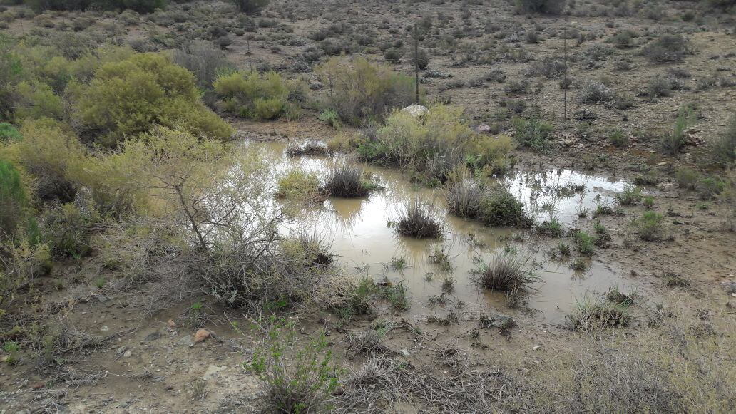 Kobus du Toit Bosman tweet media