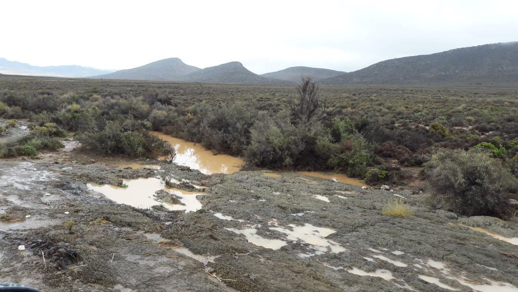 Kobus du Toit Bosman tweet media