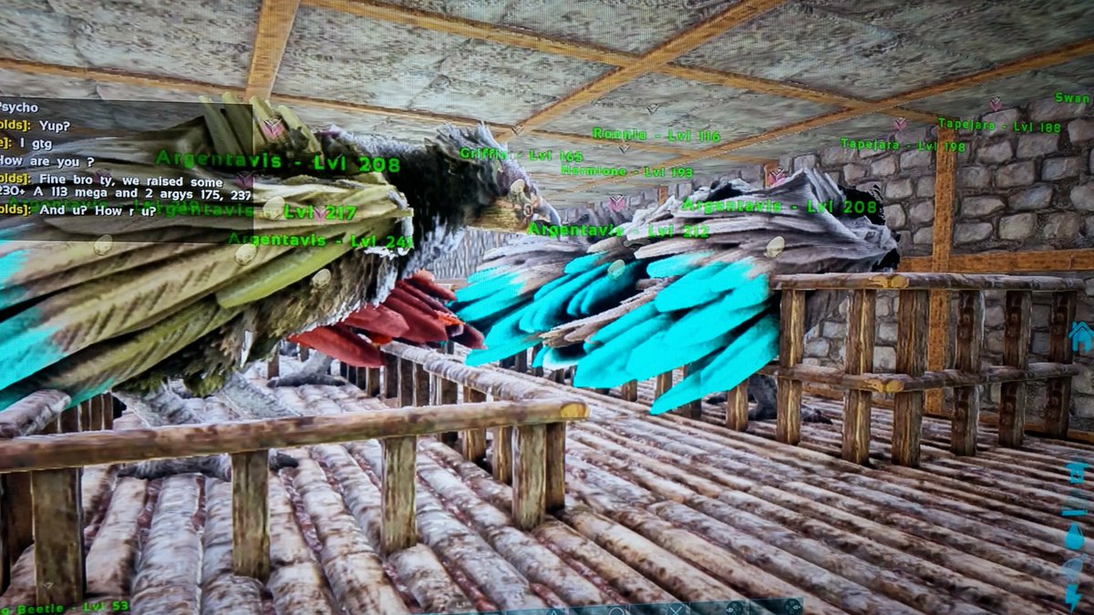 RichSwan6's tweet photo. @Ps4Ark - trading these colour mut argys looking for other argy colours https://t.co/yhwtR1VwEk