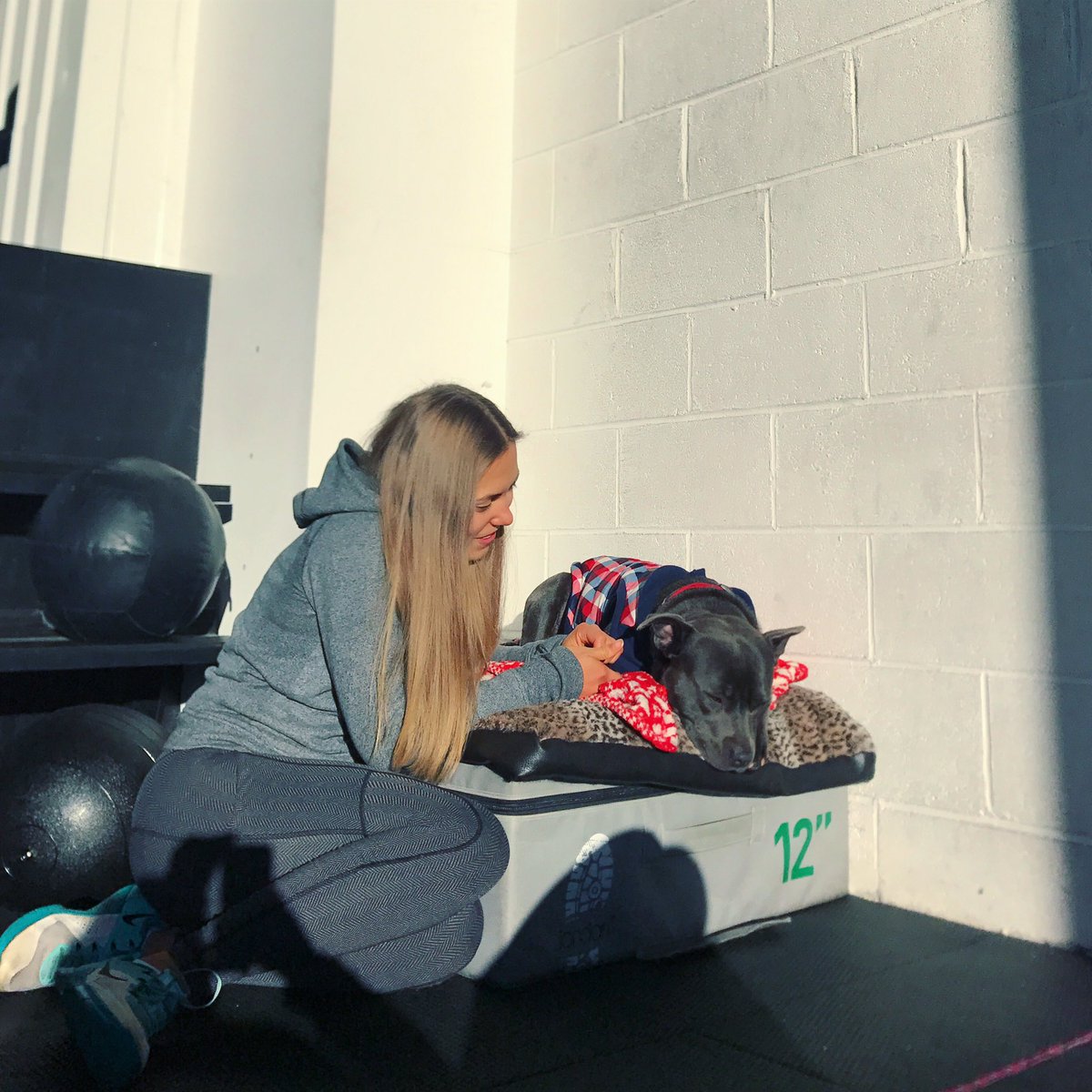 madeleinemoves's tweet photo. My best tips on how I managed to become an early morning gym person: https://t.co/akF8UCTW6Y💕 https://t.co/cLfV4mL75d