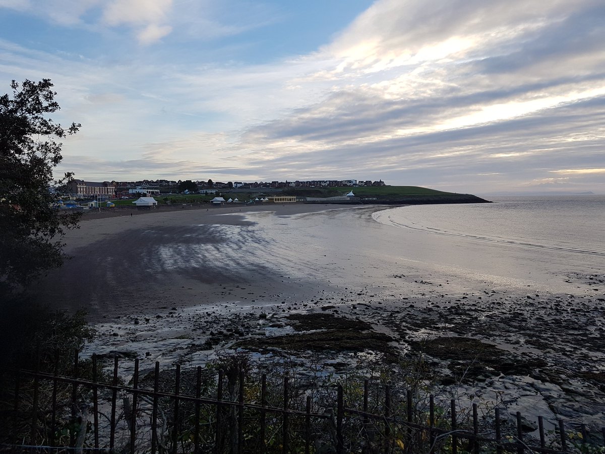 Looking tropical @ruthwignall