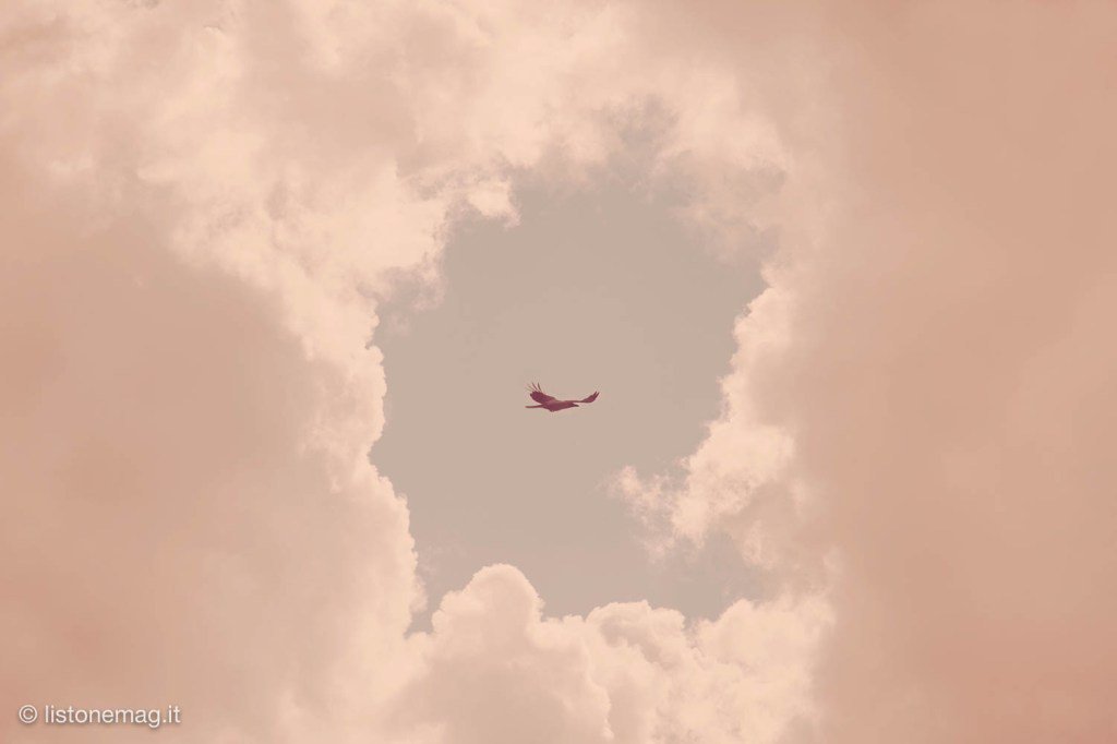 ListoneMag's tweet image. “Cuore Liquefatto”, l’emozione distillata di Anna Di Prospero listonemag.it/2017/11/16/cuo…