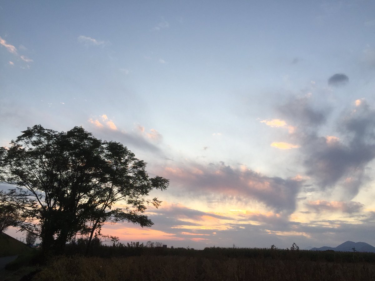 さいきんインスタばっかで
こっちに出してなかったや😅
久々の投稿！