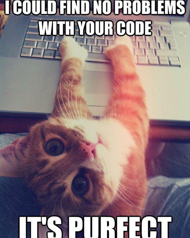 grace_inspace's tweet image. I have found the greatest code reviewer of all time #codingcats 😍